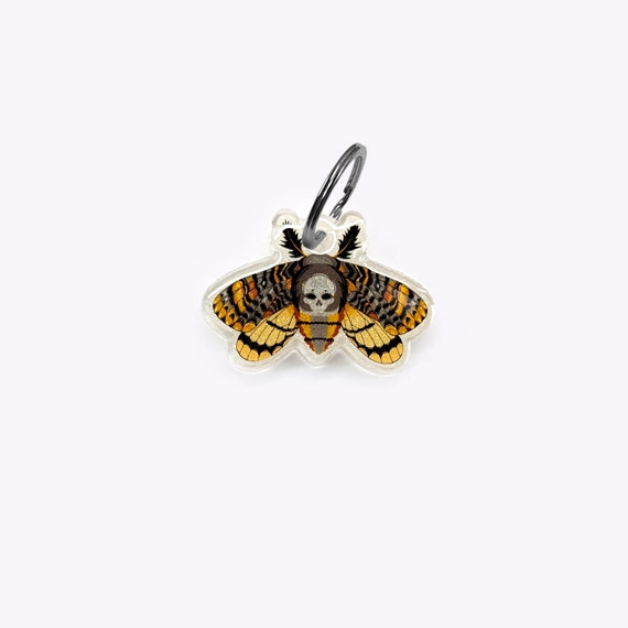 Médaille Papillon occulte