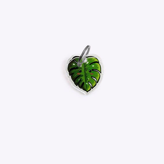 Médaille plante monstera