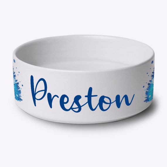 Gamelle Forêt de brume