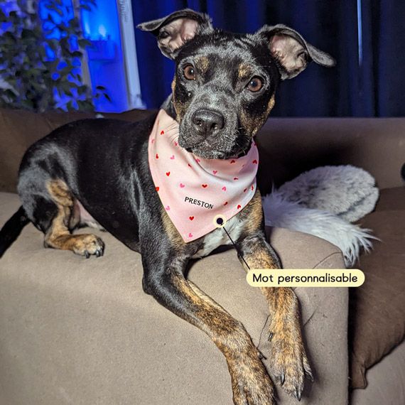 Bandana porte-médaille Love