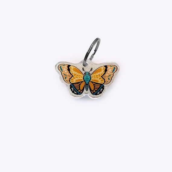 Médaille Papillon Pampas