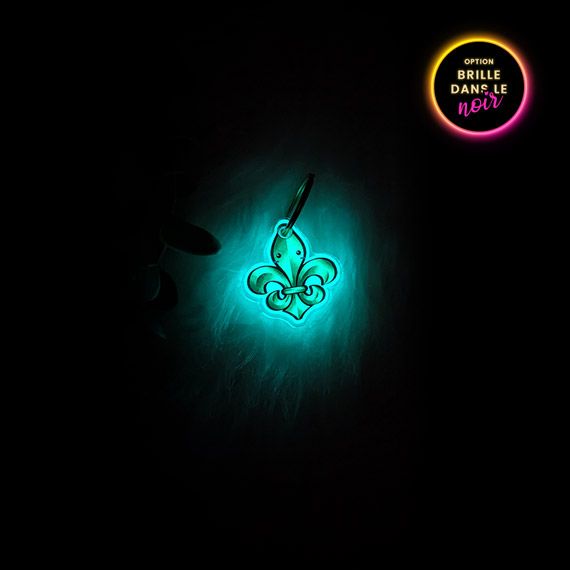 Médaille Fleur de lys