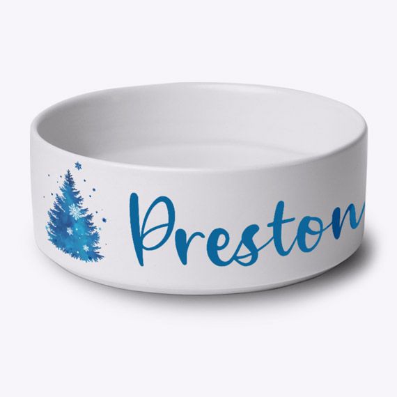 Gamelle Forêt de brume