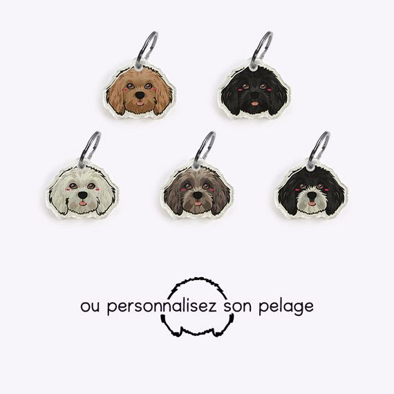 Médaille bichon havanais