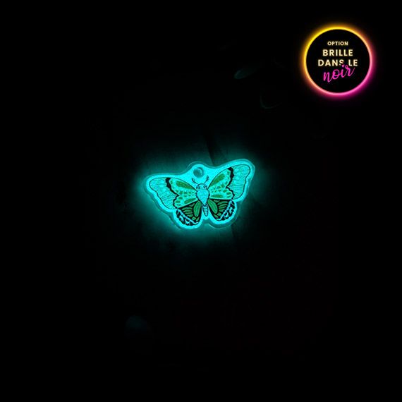 Médaille Papillon Pampas
