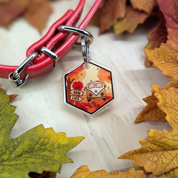 Médaille Van life en automne