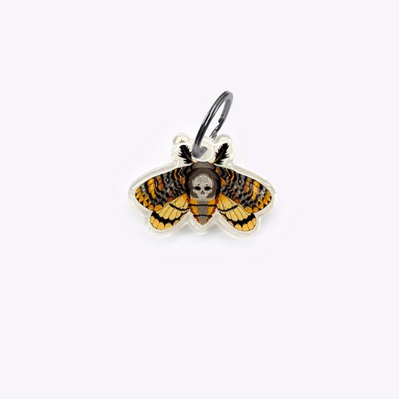 Médaille Papillon occulte