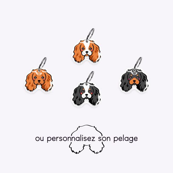 Médaille  Cavalier king charles