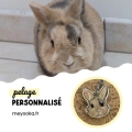 Médaille lapin aux oreilles droites