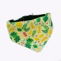 Bandana porte-médaille Hello Summer