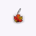 Médaille feuille d'automne Nuance