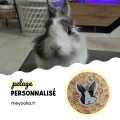 Médaille lapin aux oreilles droites