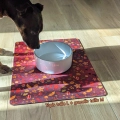 Tapis de gamelle  Chuchotement d’automne