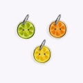 Médaille des agrumes (citron, orange, citron vert)
